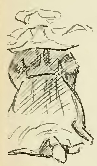 File:Botrel - Coups de clairon, 1903 (page 64 crop).jpg