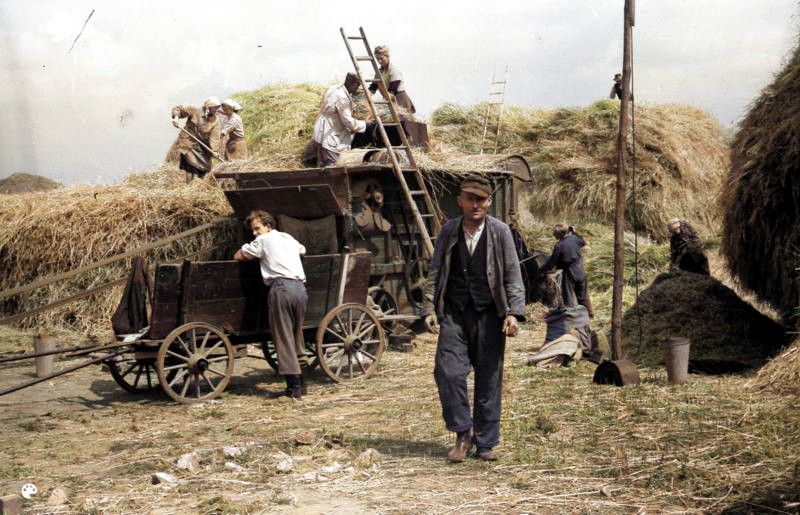 File:Bundesarchiv Bild183-R0210-343 Hönow Dreschen des Getreides-Colorized.jpg