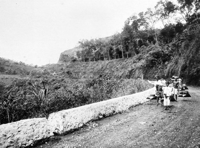 File:COLLECTIE TROPENMUSEUM Pikoelende (schoudervracht dragende) inlanders op weg naar Soemedang TMnr 10013854.jpg