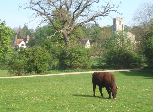 Coddenham from path near driveway to Coddenham House - geograph.org.uk - 789953