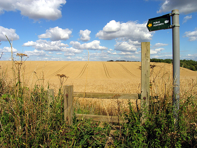 File:Footpath Across Barley Fields Near Beedon - geograph.org.uk - 34133.jpg