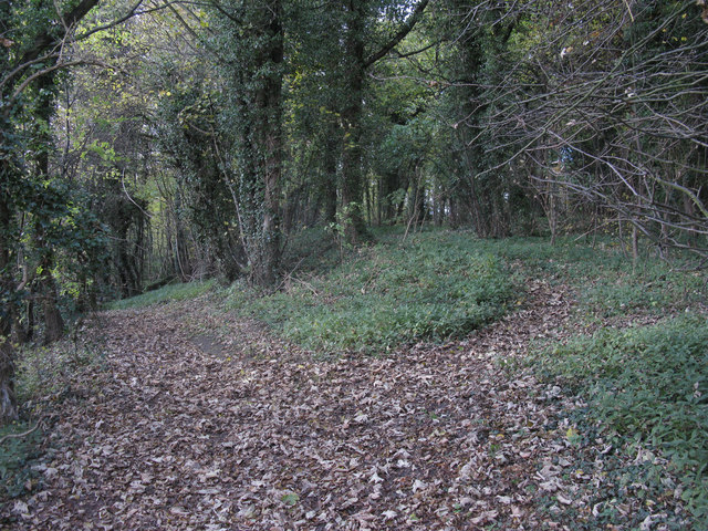 File:Footpath from Back Lane to Doncaster Road (A630) - geograph.org.uk - 3221926.jpg