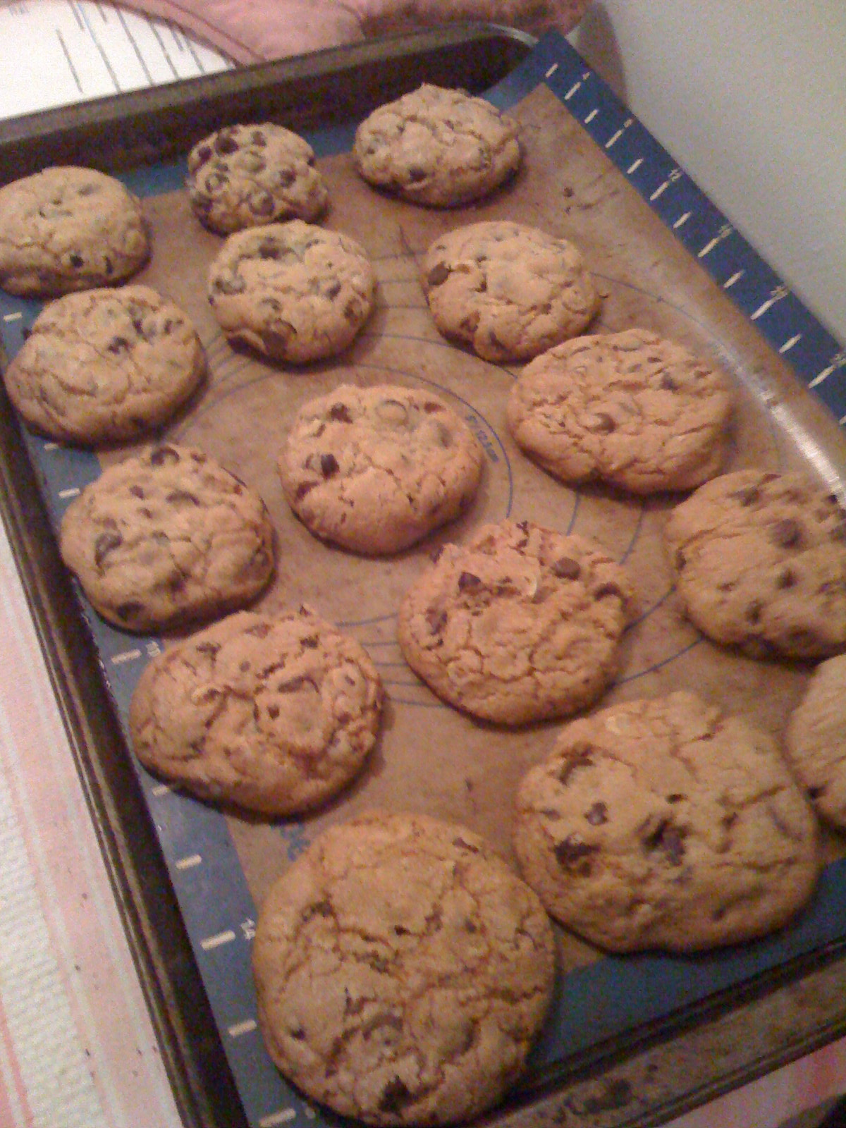 Hazelnut Chocolate Chip Cookies from the Great Book of Chocolate