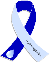 File:Hydrocephalus ribbon.png