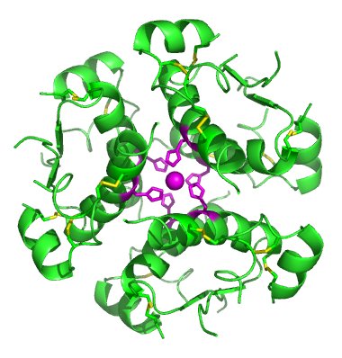 Congenital hyperinsulinism - Wikipedia