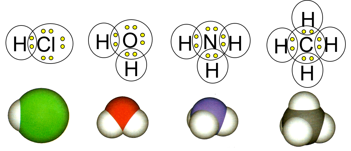 covalent bonds