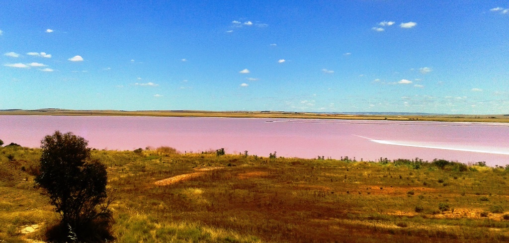 Lake Bumbunga in Clare Valley