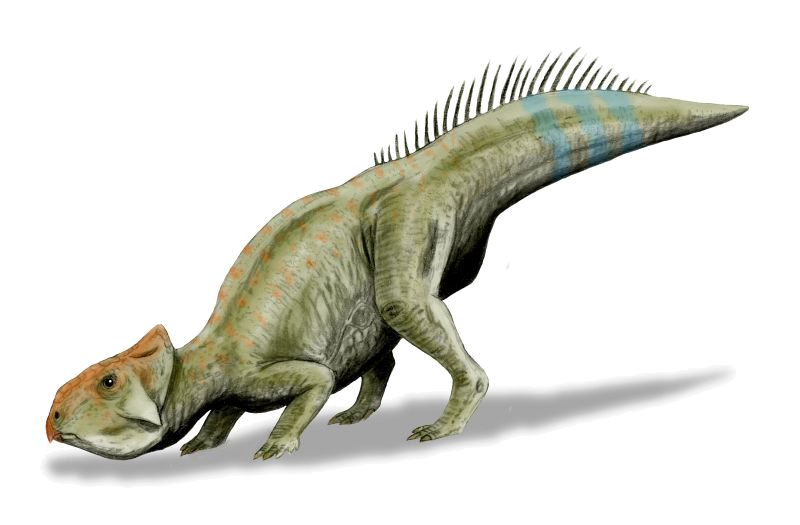 File:Leptoceratops BW transparent.png