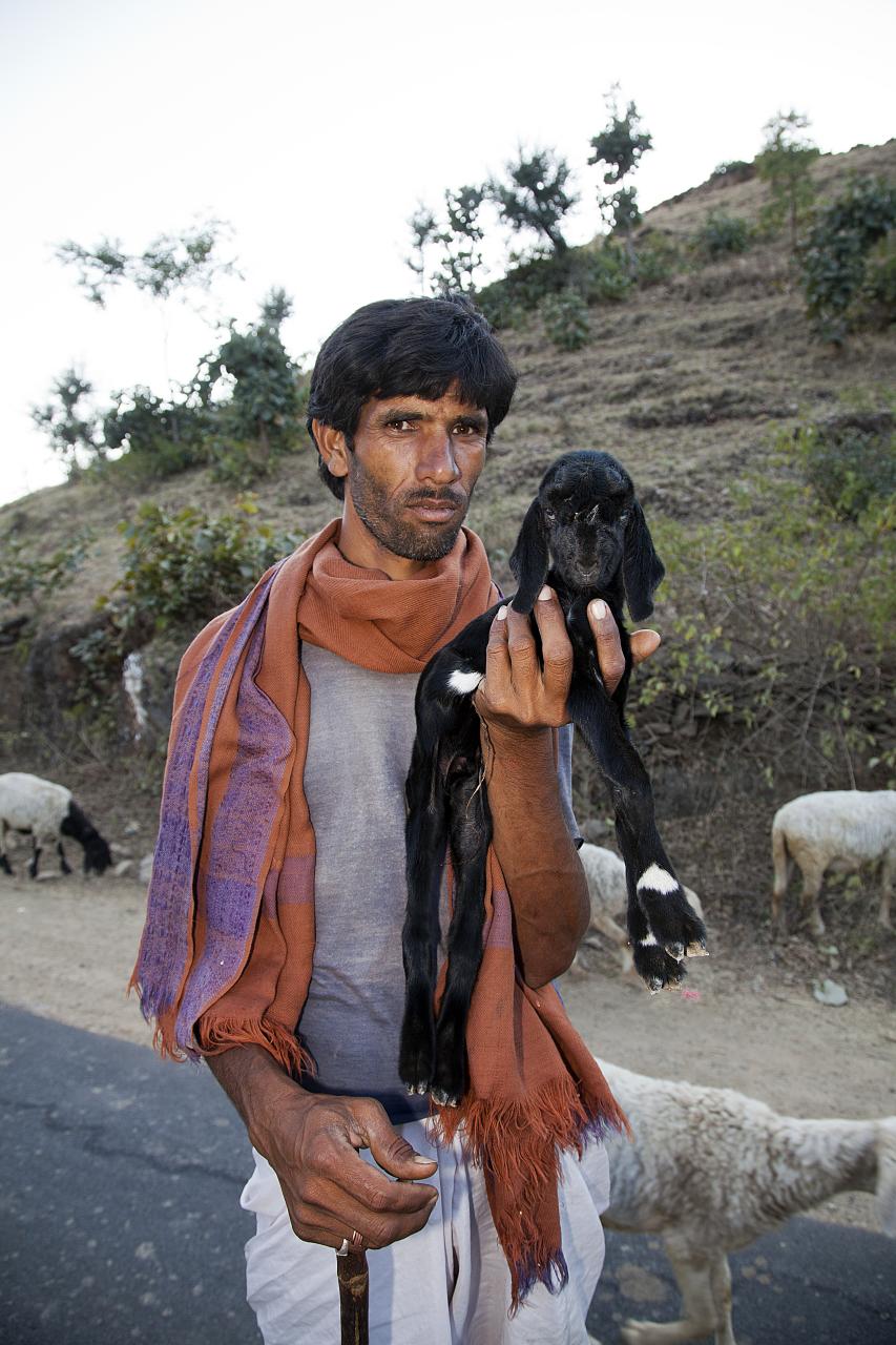 File:Man with a goat kid, Rajasthan (6358883591).jpg - Wikimedia