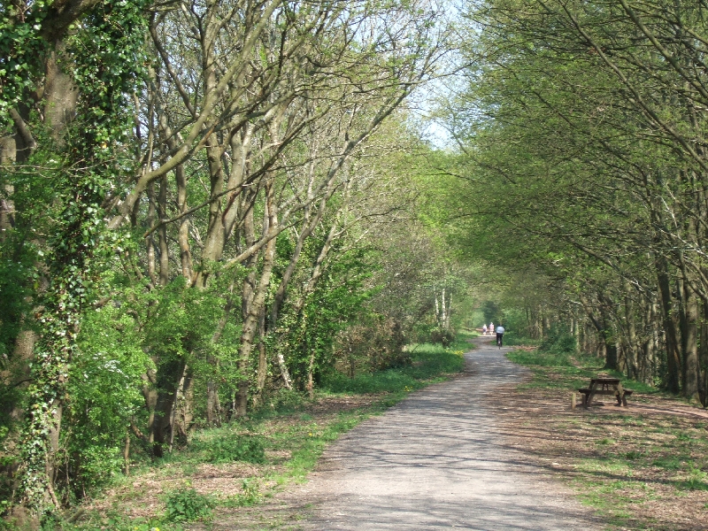 NCN 2 passing woods near Castle Lane - geograph.org.uk - 2375825