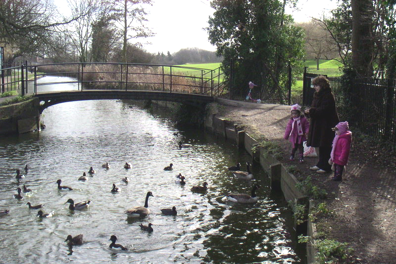 File:New River at Enfield Town Park.JPG