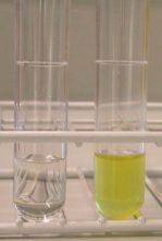 <span class="mw-page-title-main">Niacin test</span> Bacterial lab test