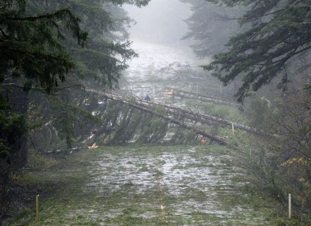 File:Oregon 18 strewn with trees (6391504271).jpg