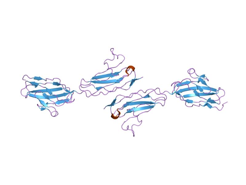 File:PDB 1nbq EBI.jpg