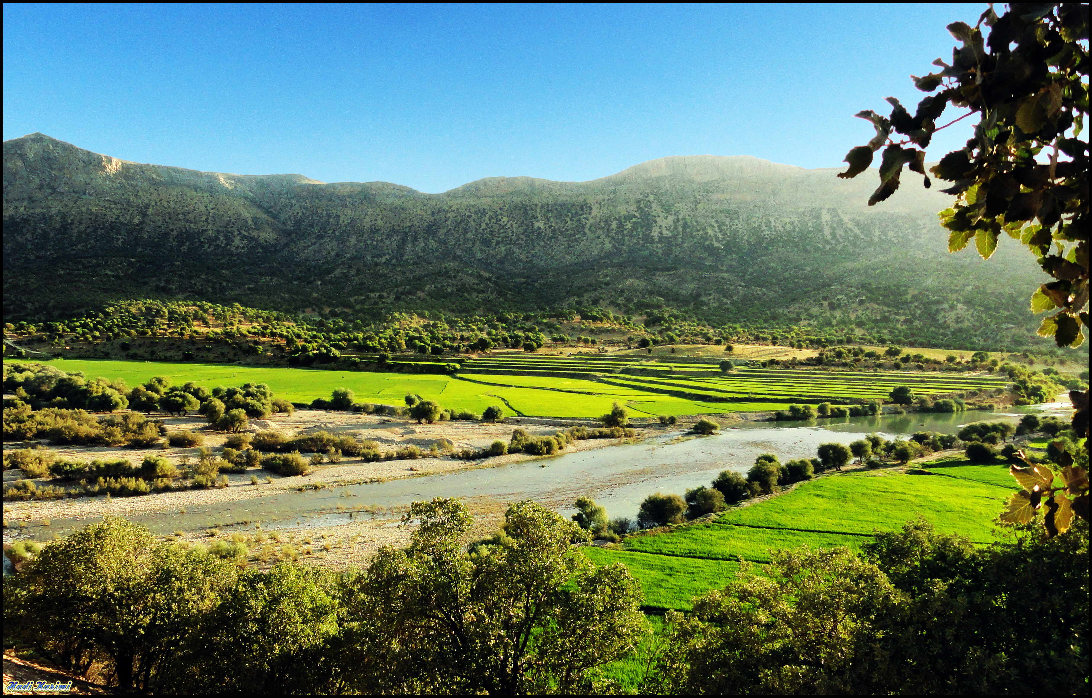 پرونده:Paddies around Kor River, Kamfirouz شالیزارهای اطراف رود کر، کامفیروز  - panoramio.jpg - ویکی‌پدیا، دانشنامهٔ آزاد