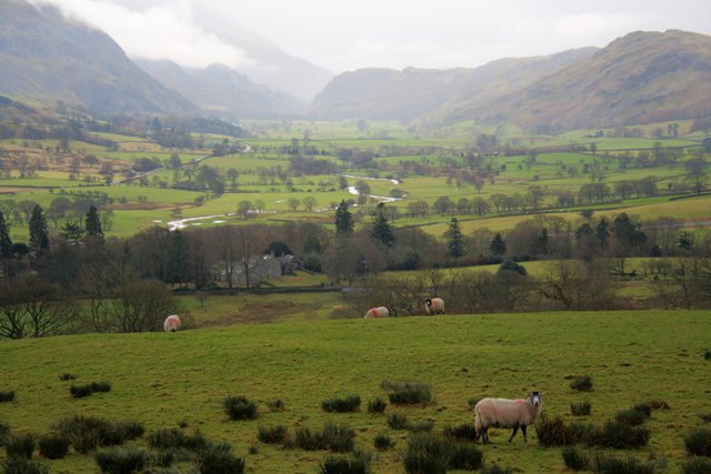 File:Pasture Near High Row Farm - geograph.org.uk - 645722.jpg