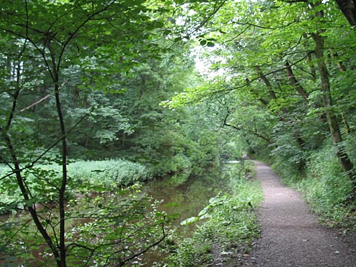 Skipton Wood