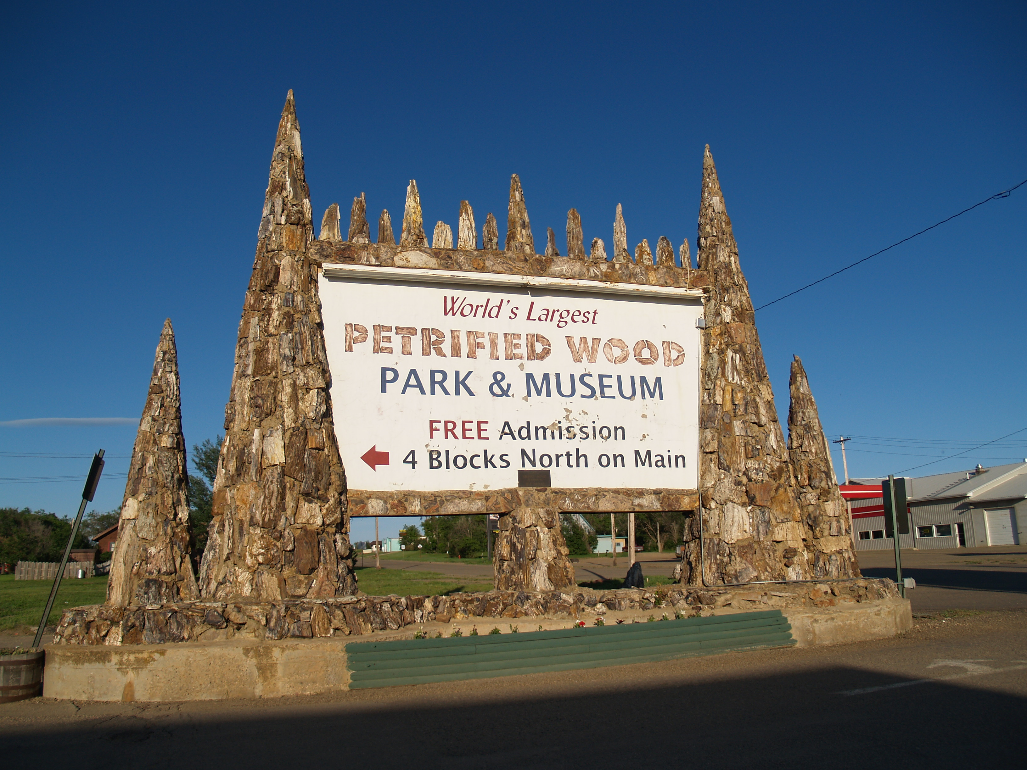 A Journey Through Time at The Petrified Forest