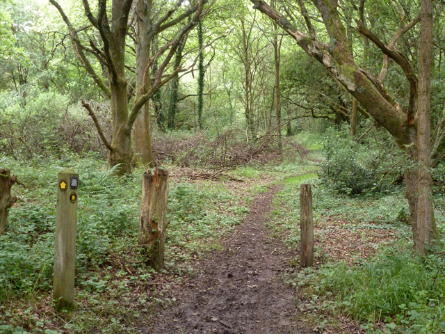 File:Public footpath, Backside Common (geograph 5632548).jpg