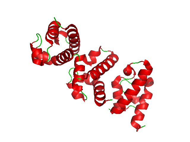 File:RecQ helicase.png