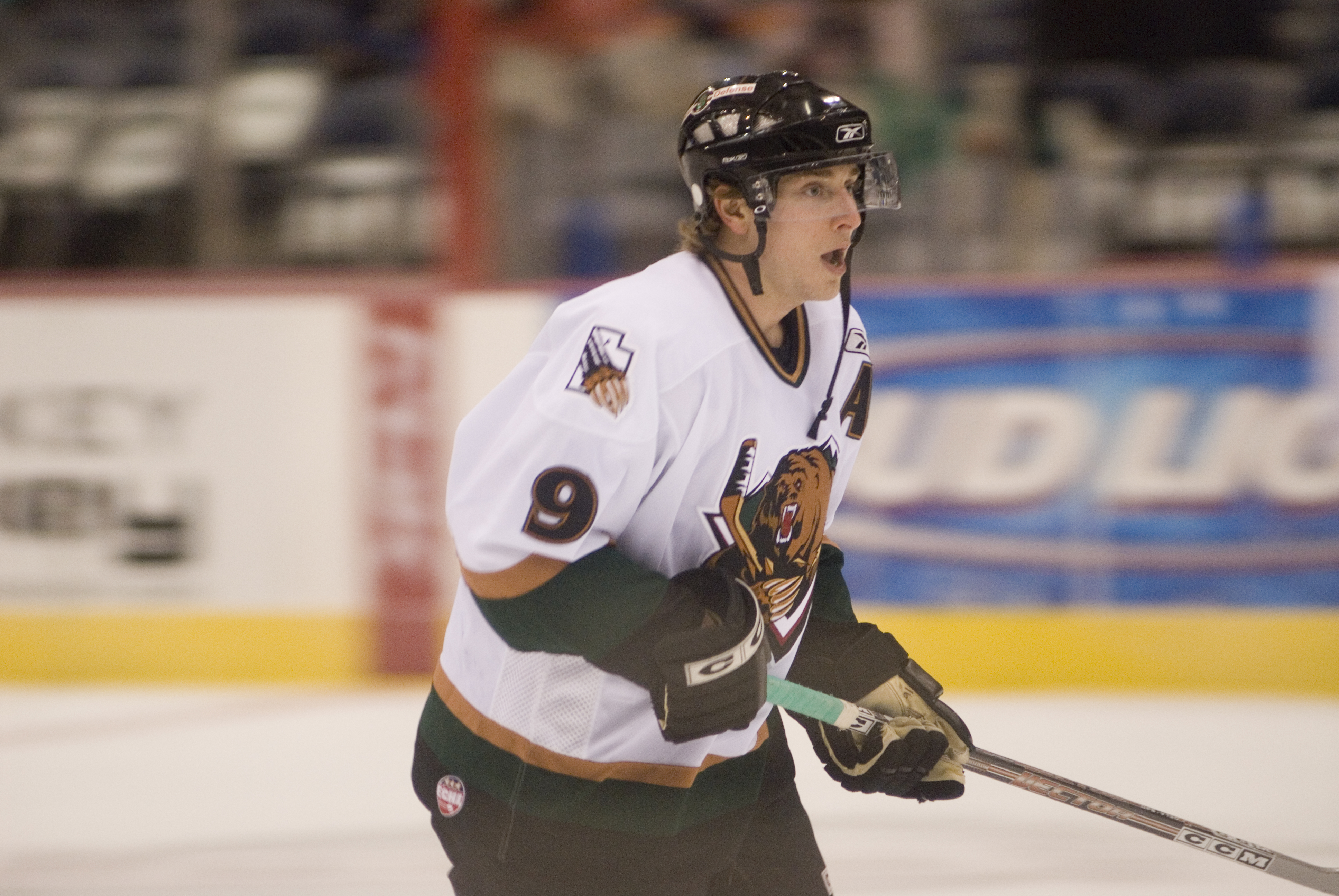 Utah Grizzlies. Utah Grizzlies create in NHL.