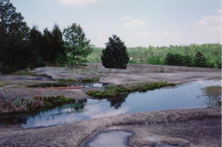 File:SC Flat Creek NA.JPG