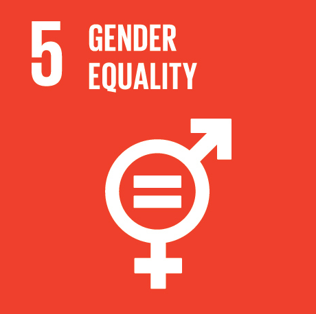 File:SDG 5.PNG