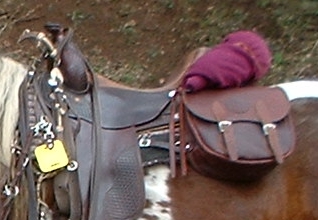 SADDLE BAG