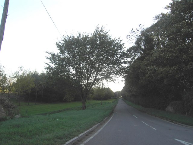 File:Scarthingwell Lane - geograph.org.uk - 270805.jpg