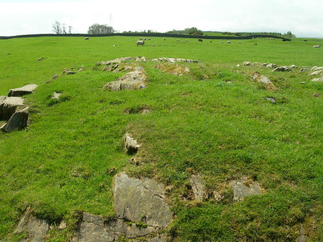 File:Sheep grazing and rocky outcrop - geograph.org.uk - 444231.jpg