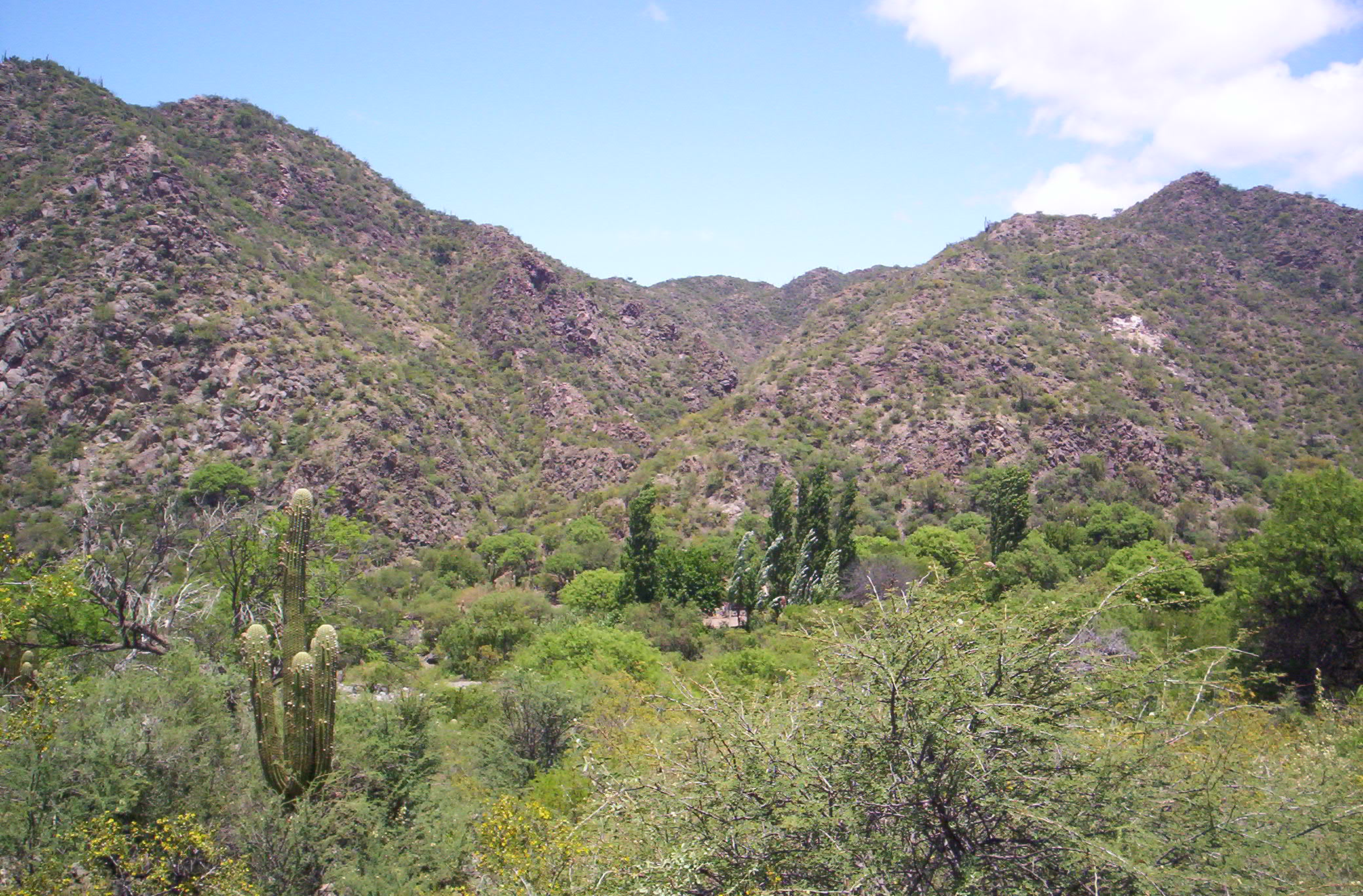Sierras de Valle Fértil - Wikipedia, la enciclopedia libre