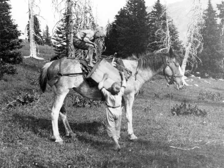 File:Smith boys unloading pack horse, Okanogan County, September, 1920 (LL 1021).jpg