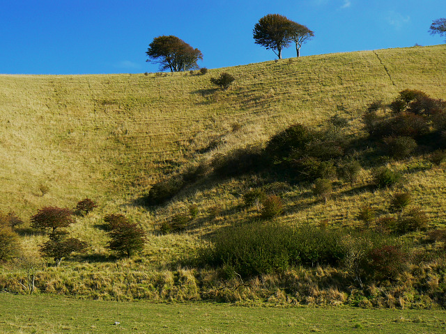 File:The bottom of Beacon Hill, near Heddington - geograph.org.uk - 1536243.jpg