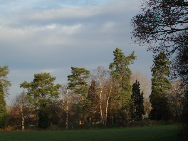 File:The edge of Oxhey Fields - geograph.org.uk - 108115.jpg