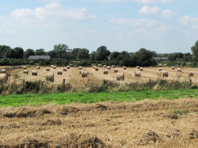 File:The wheat has been harvested - and the straw is in bales - geograph.org.uk - 1440346.jpg