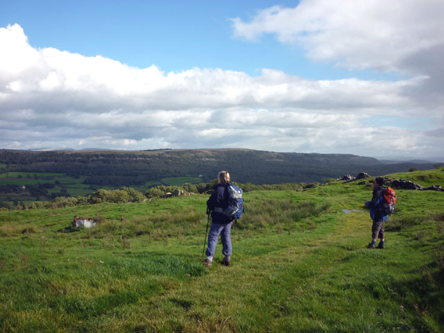 File:Track to Cartmel Fell - geograph.org.uk - 2069032.jpg