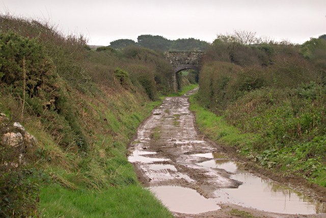 File:Track underneath the old railway line. - geograph.org.uk - 367626.jpg