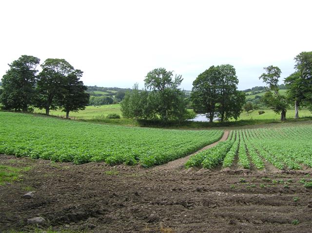 File:Urney, Strabane - geograph.org.uk - 191372.jpg