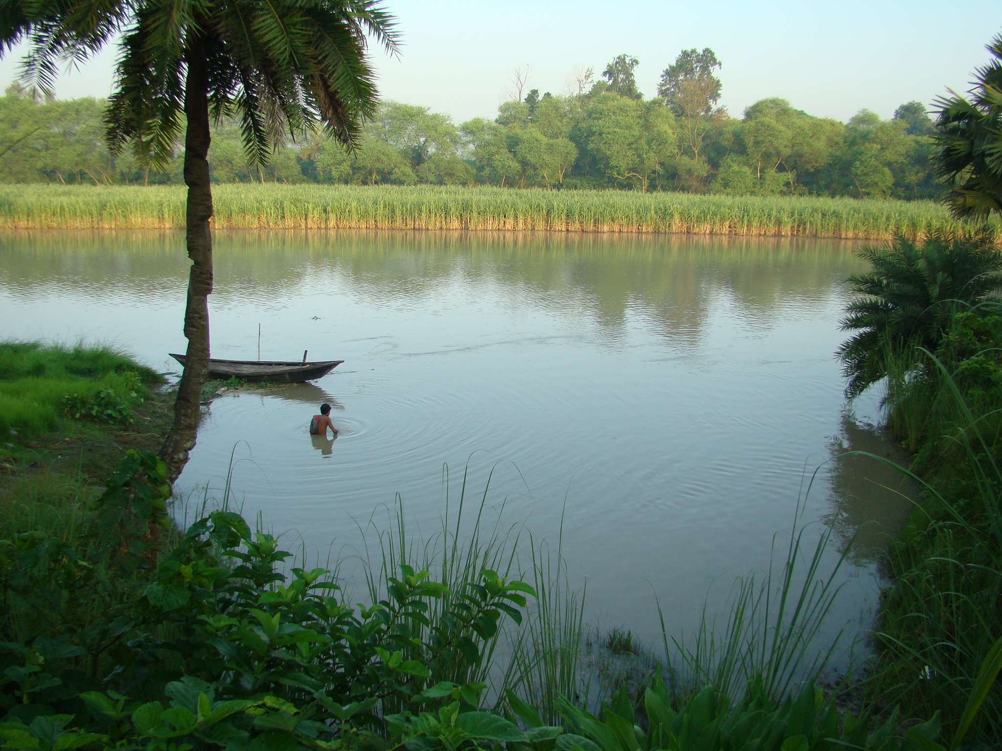 Река на сцене. Бангладеш деревня. Летнее утро в Бангладеш. Bangladesh Park pic. Бангладеш обои на рабочий стол природа.