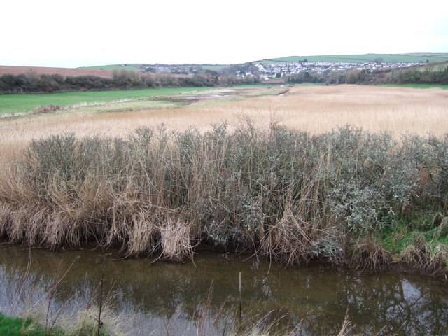 File:West Charleton Marsh - geograph.org.uk - 309590.jpg