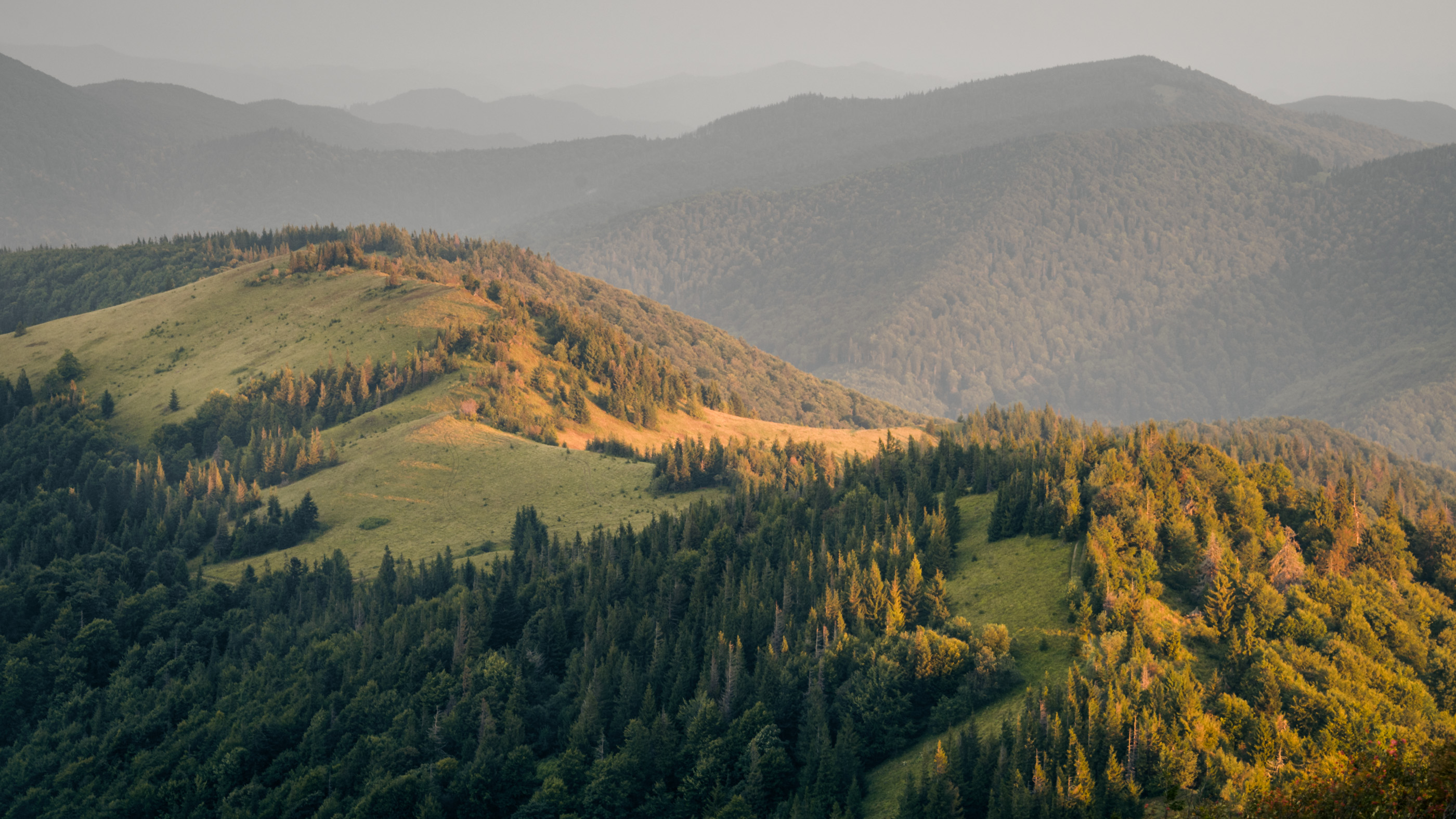 Горы Карпаты панорама