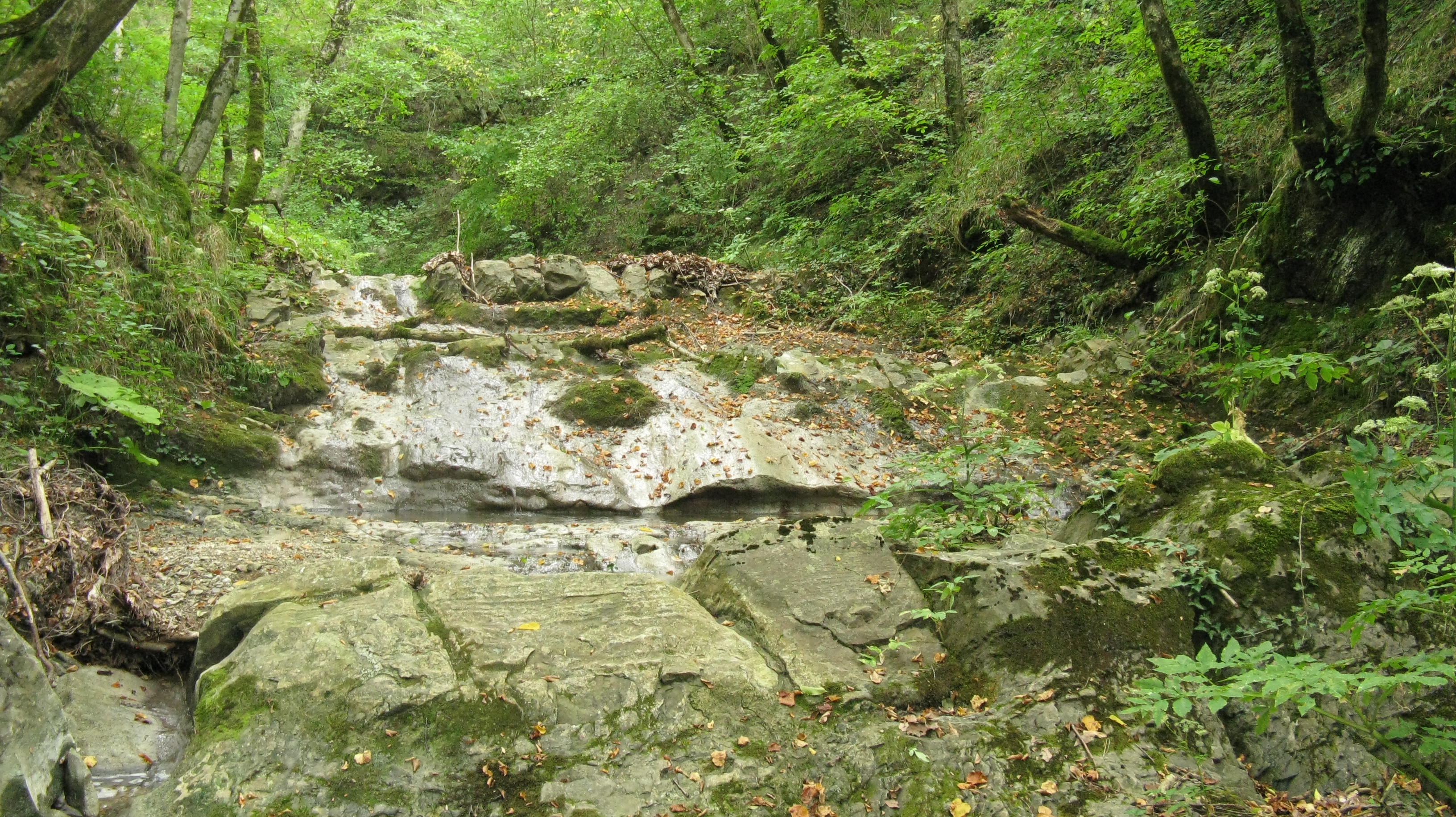 Плоская краснодарский край. Р.Шингарь. Зародино Краснодарский край. Голопузовка Краснодарский край. Речка чёрный Шингарь.