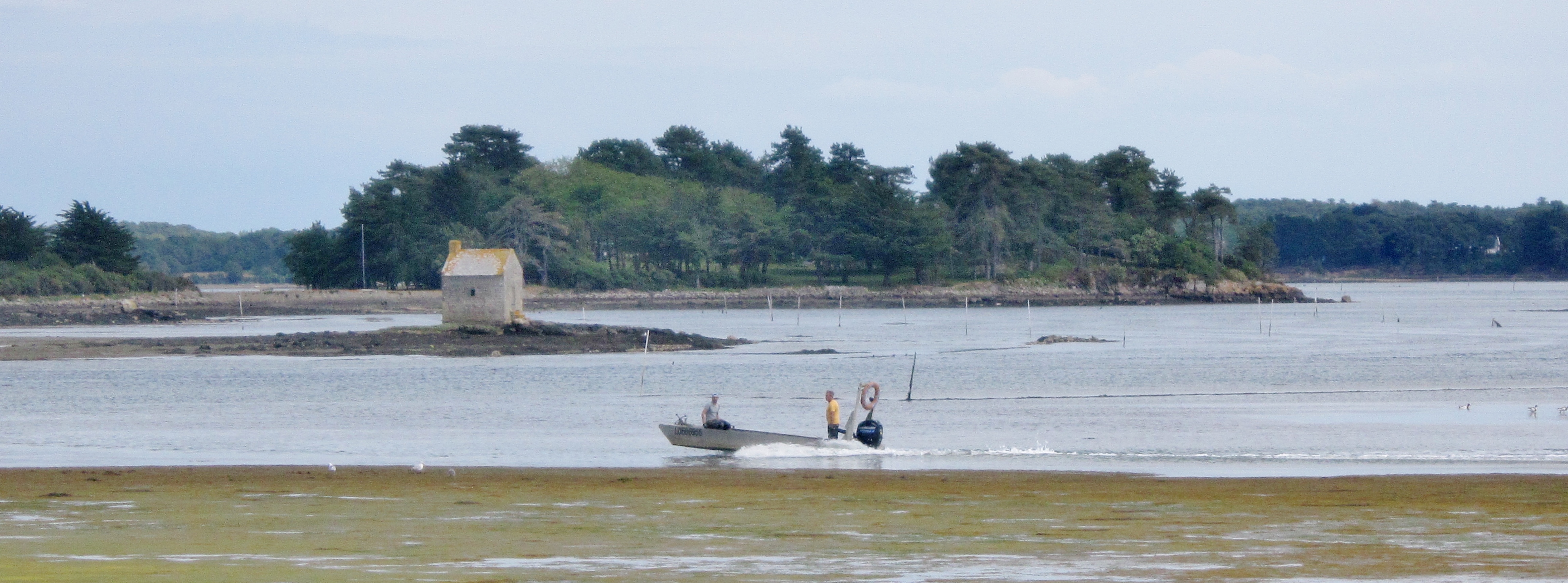 Остров эр. Plouhinec (Morbihan) 66 лет.