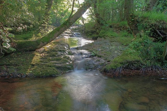 File:Afon Tarell - geograph.org.uk - 1383546.jpg