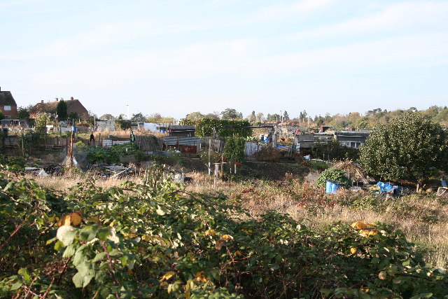 File:Allotments, near Darlington Road, Leicester - geograph.org.uk - 75340.jpg