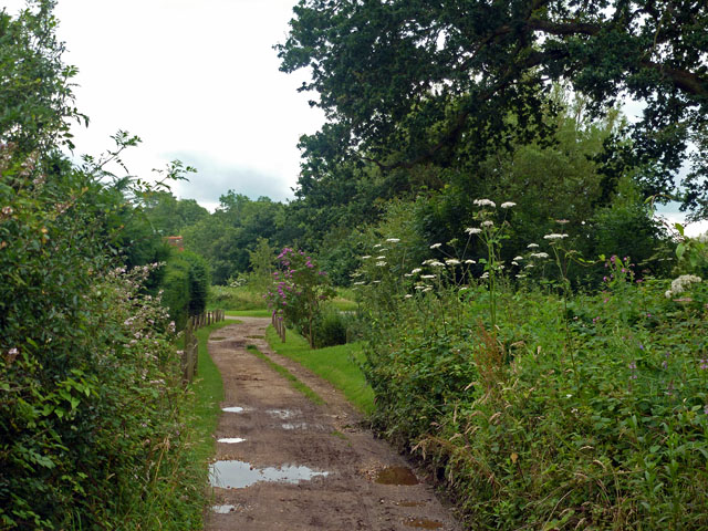 File:Ash Green Lane East - geograph.org.uk - 3046650.jpg