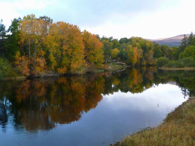 Autumn colour at Kincraig - geograph.org.uk - 1527095