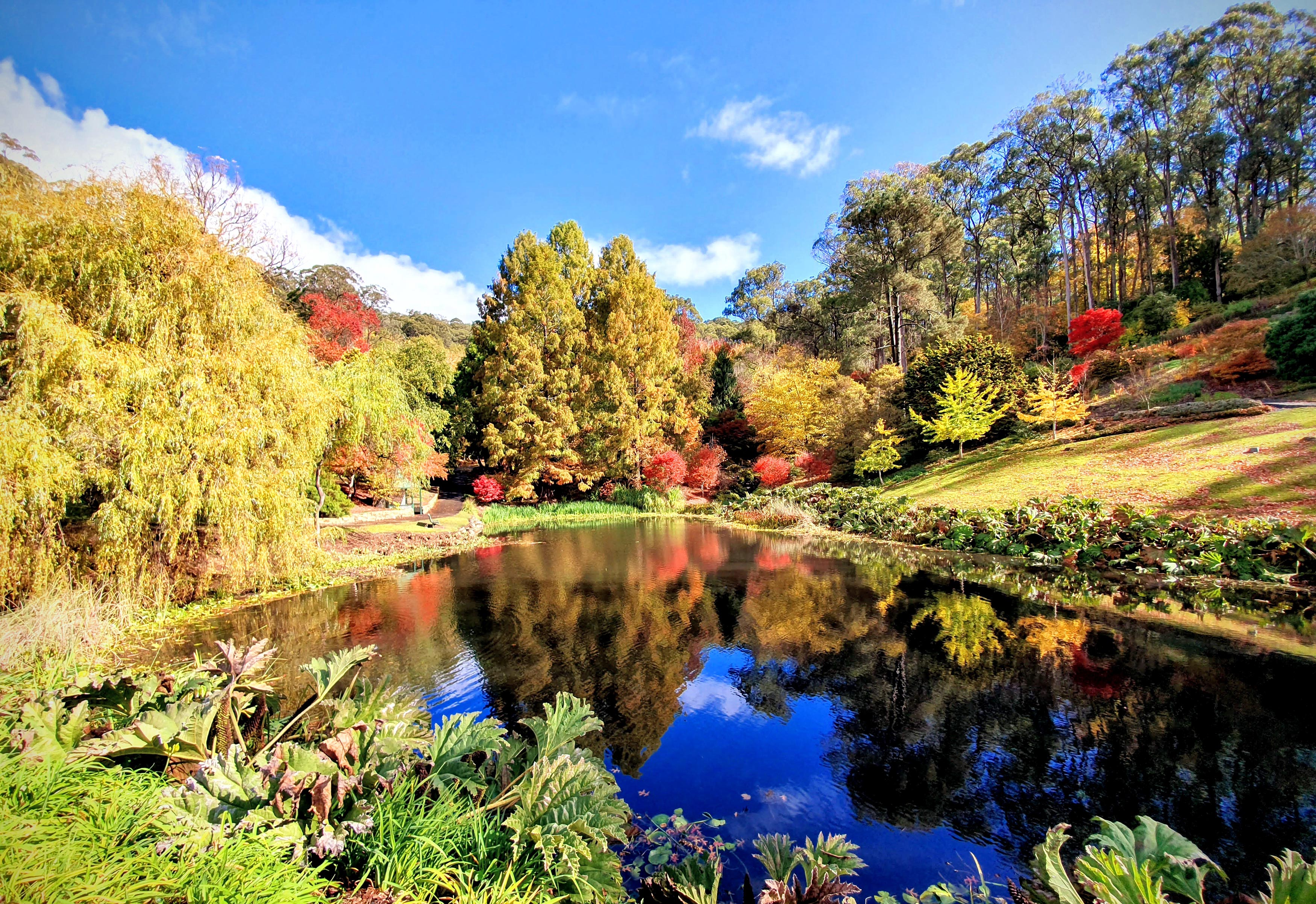 File Autumn Reflections Over Mt Lofty Botanical Gardens Jpg