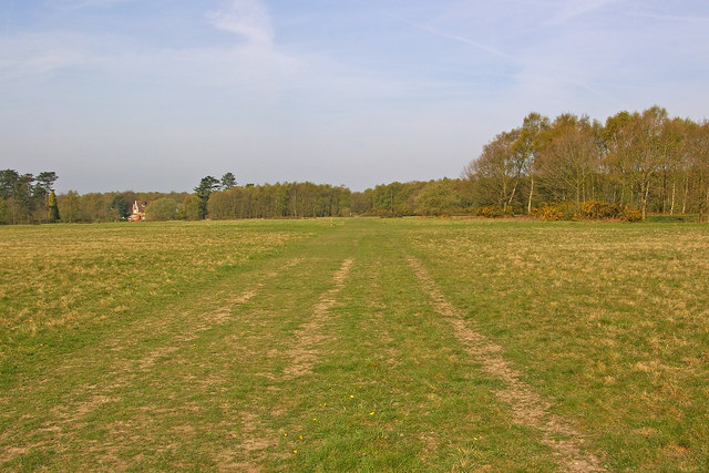 Banstead Heath - geograph.org.uk - 1839026