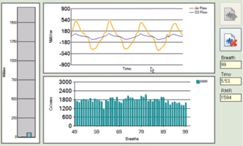 Resting metabolic rate. Критерий RMR. Rmr asia